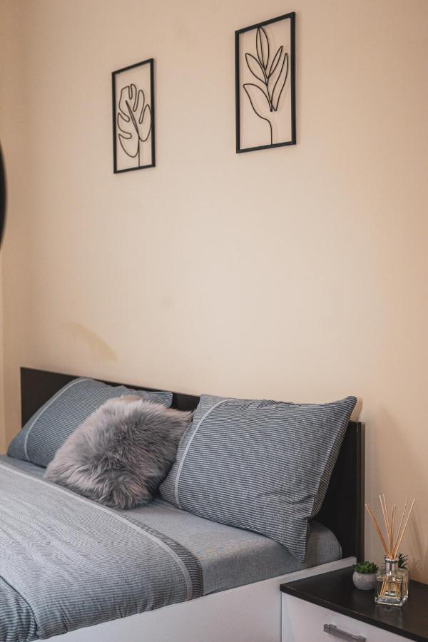 Central And Modern Apartment With Free Parking Timişoara Buitenkant foto